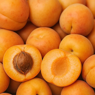 Close-up of Royal Rosa apricots from Paradise Nursery with a focus on one cut open apricot showing the interior.